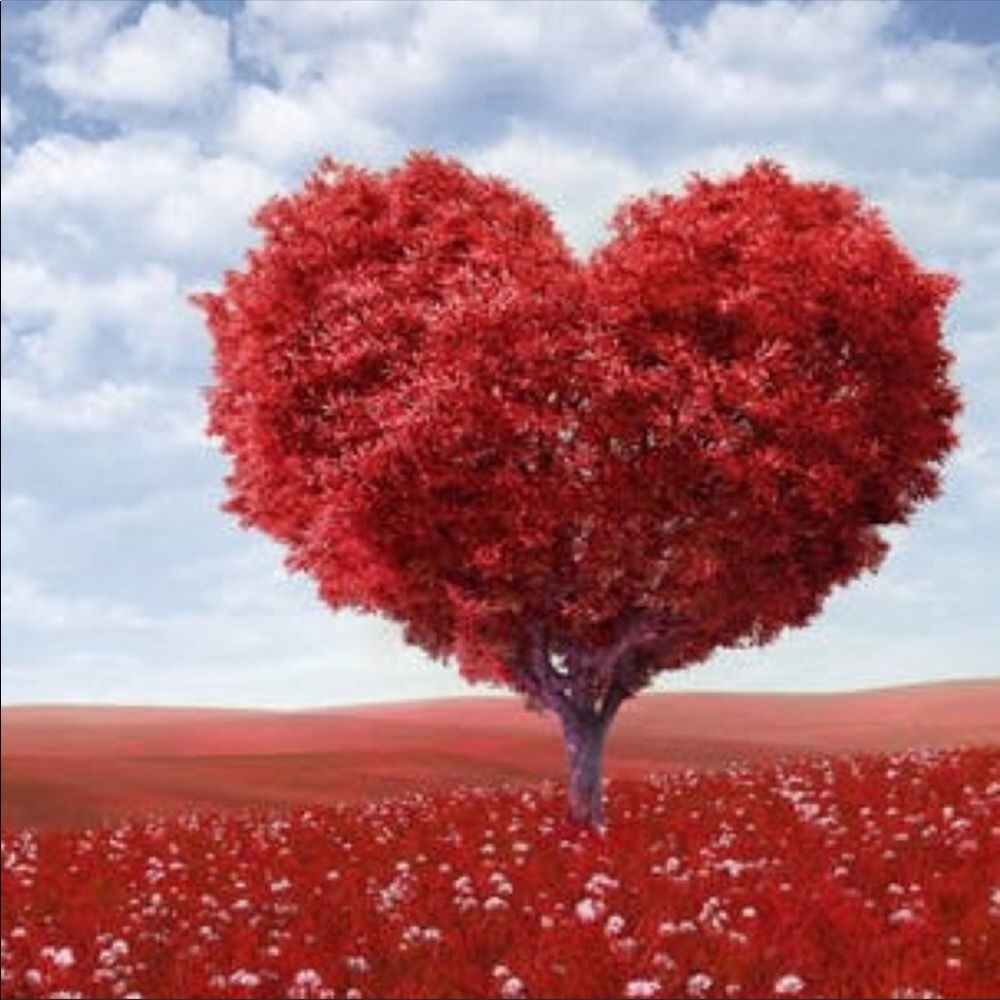 Someone special